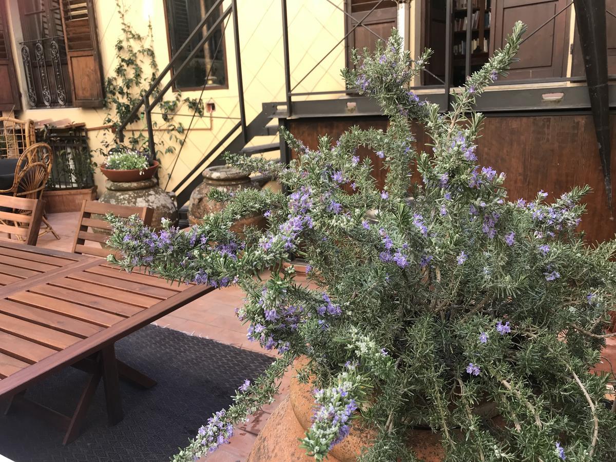 佛罗伦萨The Terrace In Santa Croce公寓 外观 照片